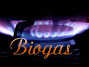  Запуск биогазового завода в Киевской области