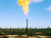 Первая совместная американско-словацкая газовая скважина на Украине